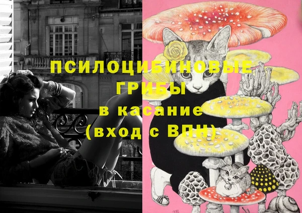 мдма Бронницы