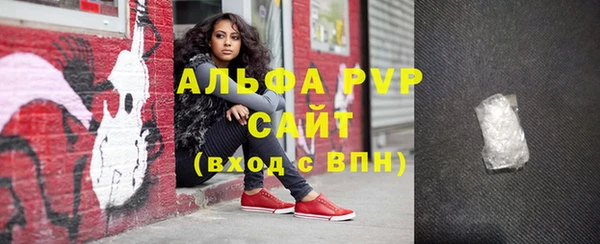 гашик Верея